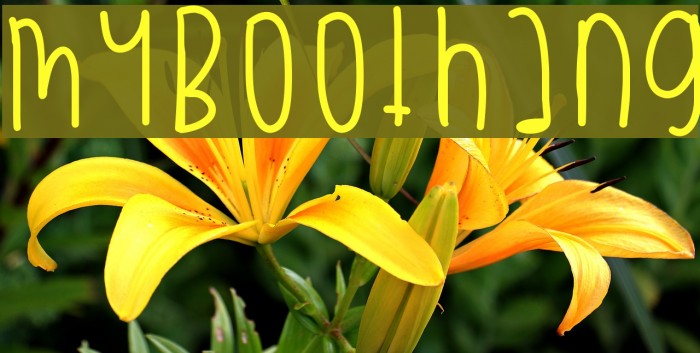 MyBooThang Example 3