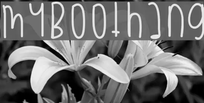 MyBooThang Font examples