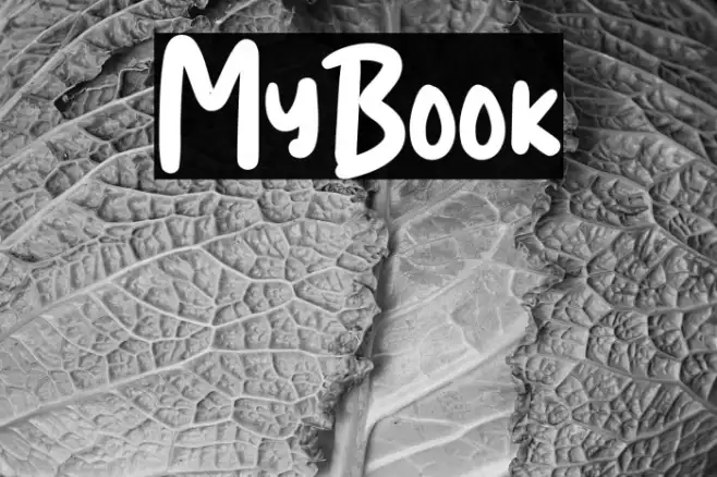 MyBook Example 2