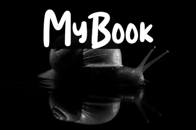 MyBook Example 3