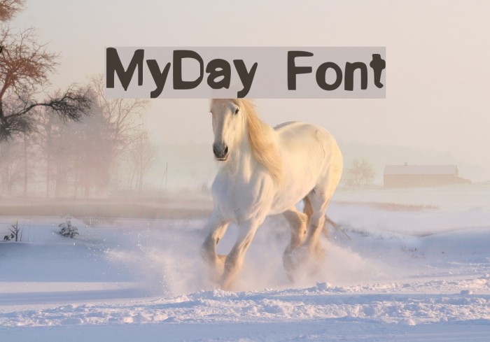 MyDay Font examples