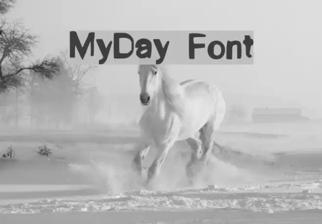 MyDay Example 1