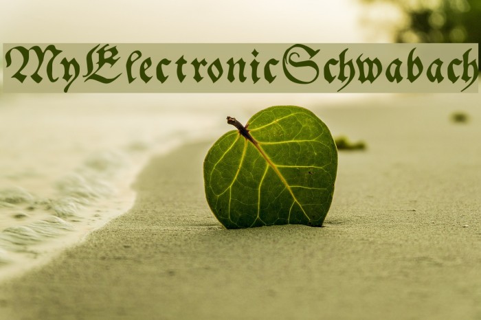 MyElectronicSchwabach Font examples