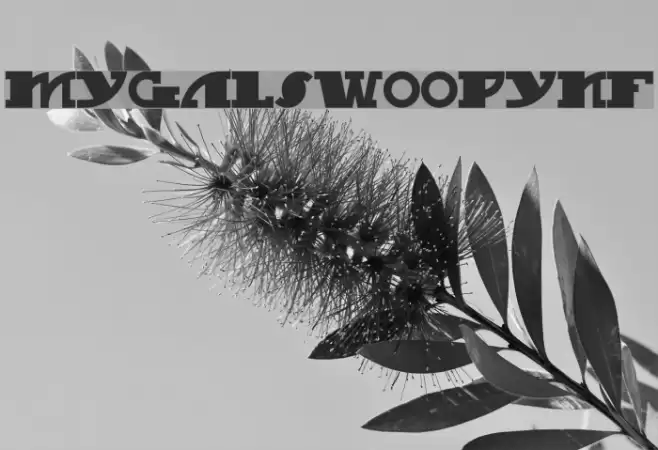 MyGalSwoopyNF フォント examples
