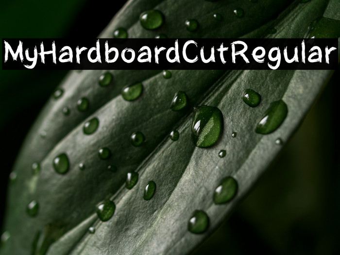 MyHardboardCutRegular Example 1