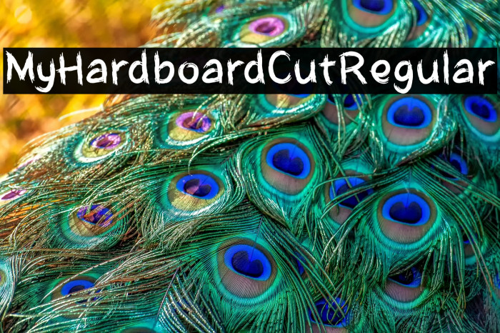 MyHardboardCutRegular Example 3