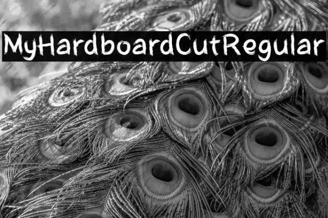 MyHardboardCutRegular Example 3