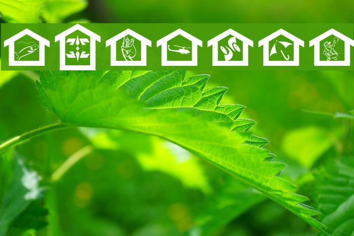 MyHouse Font examples