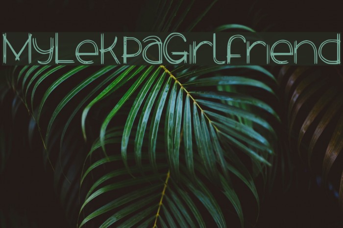 MyLekpaGirlfriend Font examples