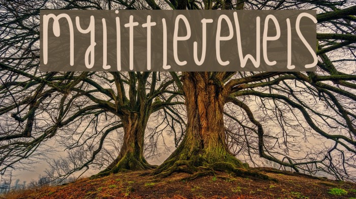 MyLittleJewels Example 1