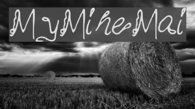 MyMineMai Font examples