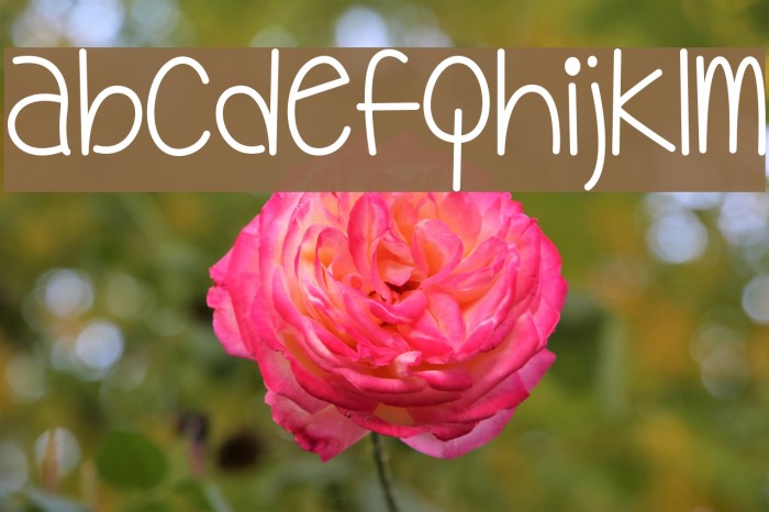 MyOhMy Font examples