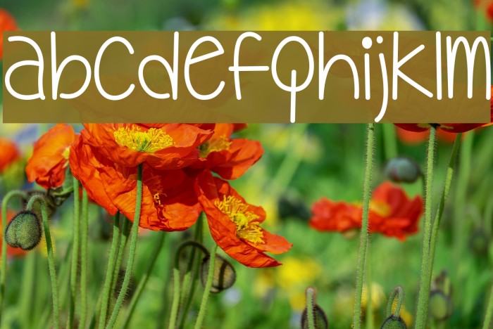 MyOhMy Font examples