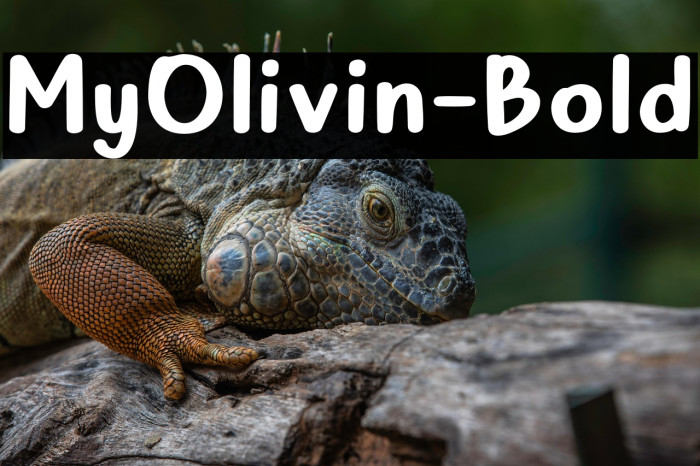 MyOlivin-Bold Example 1