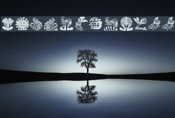 MyPrivateZoo Example 1