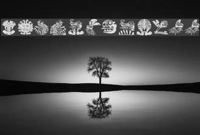 MyPrivateZoo Font examples