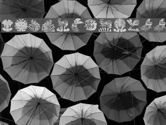 MyPrivateZoo Font examples