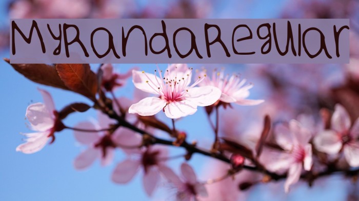 MyRandaRegular Font examples