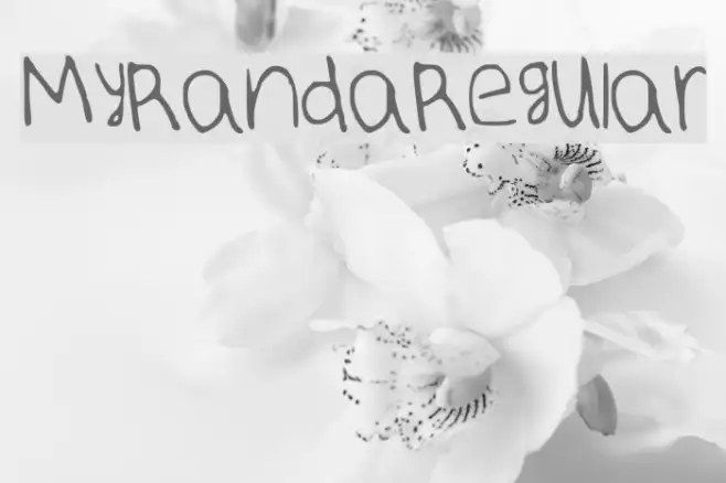 MyRandaRegular Example 2