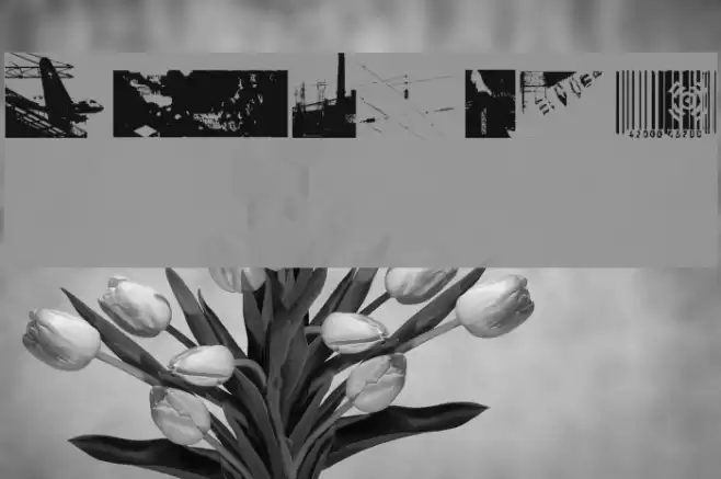 MySQema Font examples