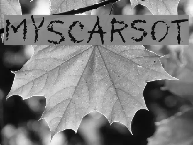 MyScarsOT Font examples