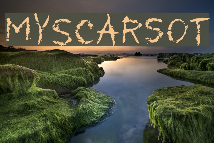 MyScarsOT Font examples