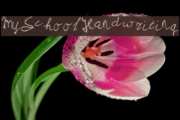 MySchoolHandwriting Example 2