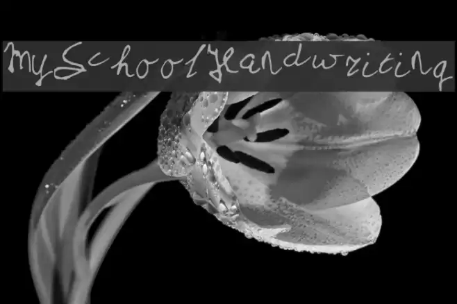 MySchoolHandwriting Font examples