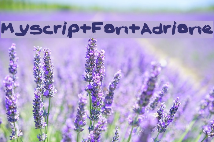 MyScriptFontAdrione Font examples