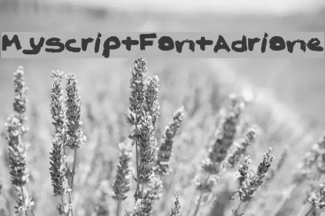 MyScriptFontAdrione Font examples