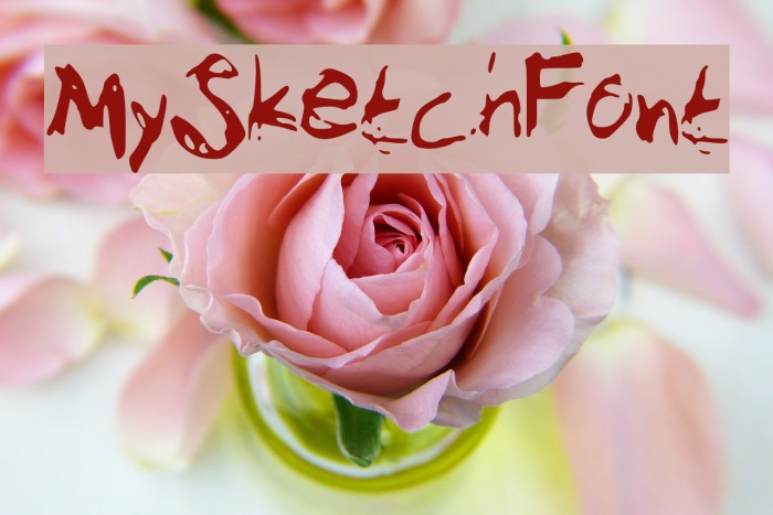 MySketchFont Font examples