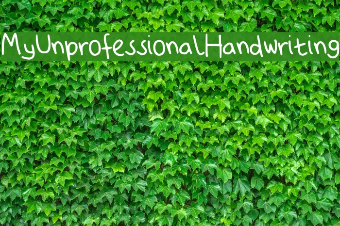 My_Unprofessional_Handwriting Font examples