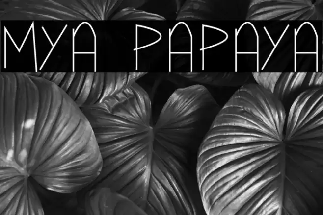 Mya Papaya Font examples