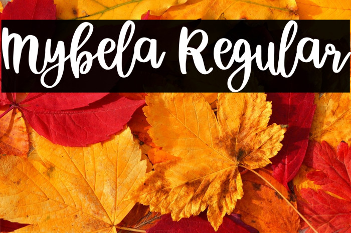 Mybela Regular Example 2