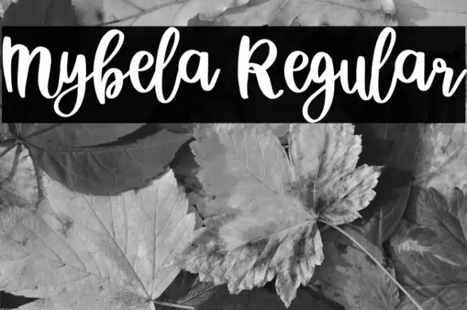 Mybela Regular Example 2