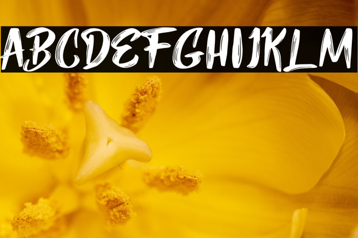 Mybread Regular Example 2