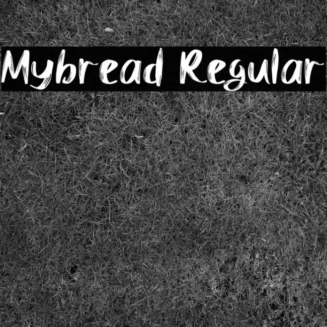 Mybread Regular Font examples