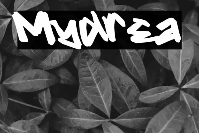 Mydrea フォント examples