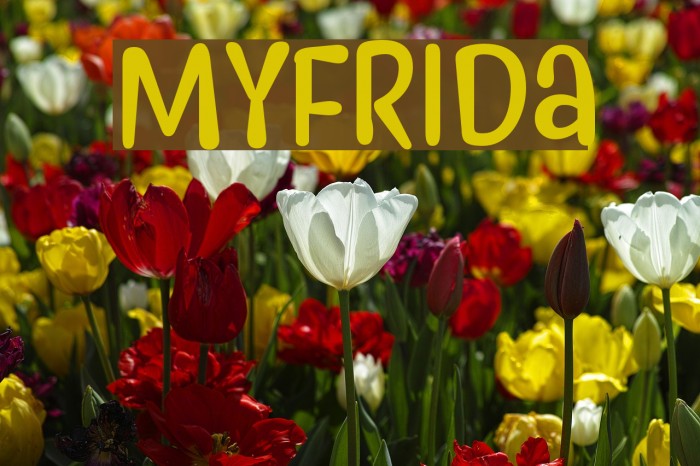 Myfrida Font examples