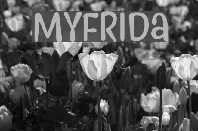 Myfrida Example 1