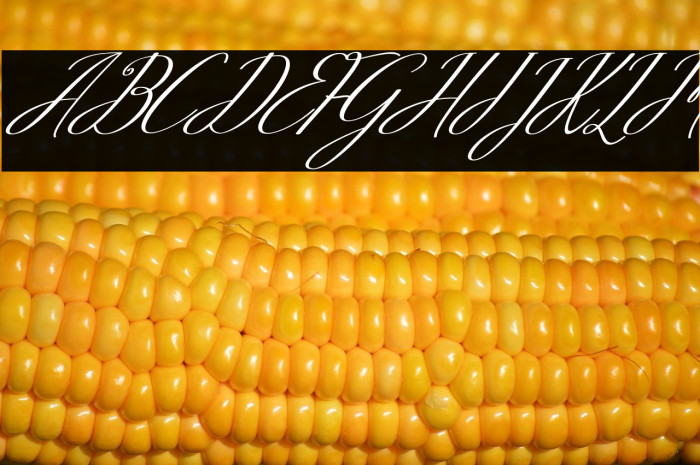 Myheart Italic Example 1