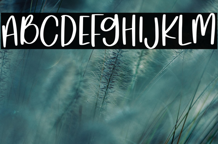 Mykilove Demo Version Example 2