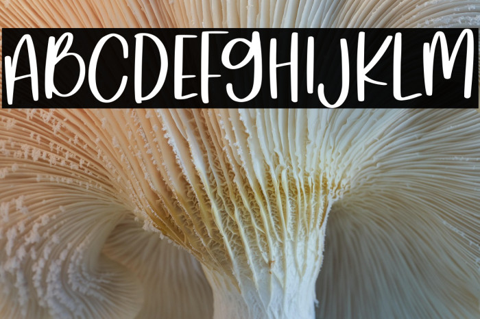 Mykilove Demo Version Example 3