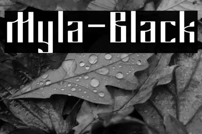 Myla-Black Font examples