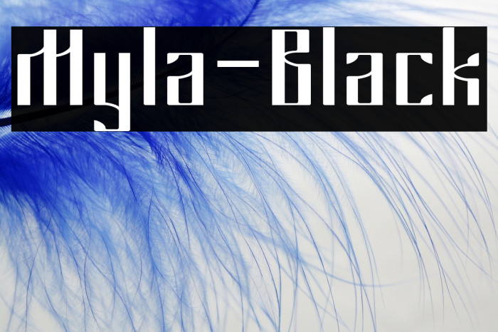 Myla-Black Example 2