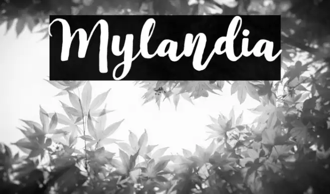 Mylandia Example 1