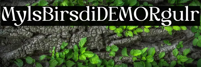 Myles Birsdie DEMO Regular Example 1