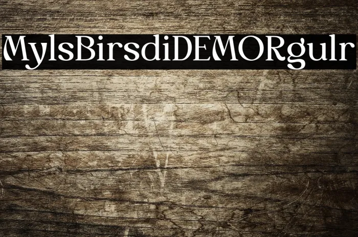 Myles Birsdie DEMO Regular Example 2