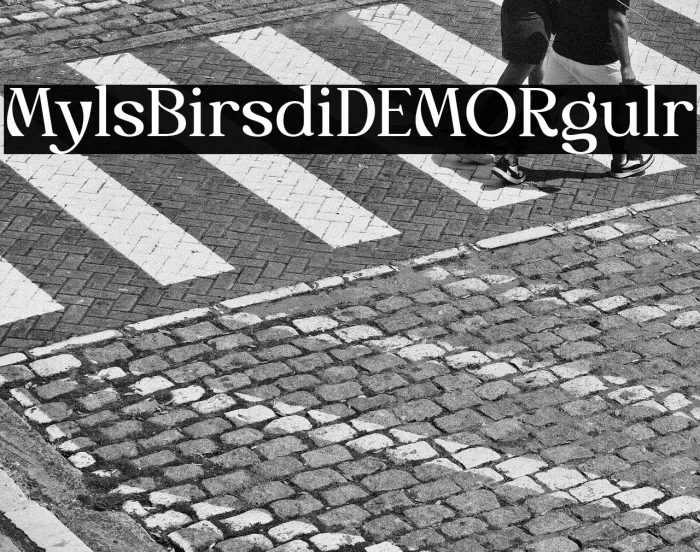 Myles Birsdie DEMO Regular Example 3