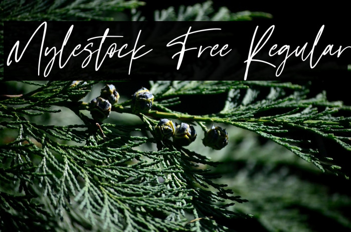 Mylestock Free Regular Example 1